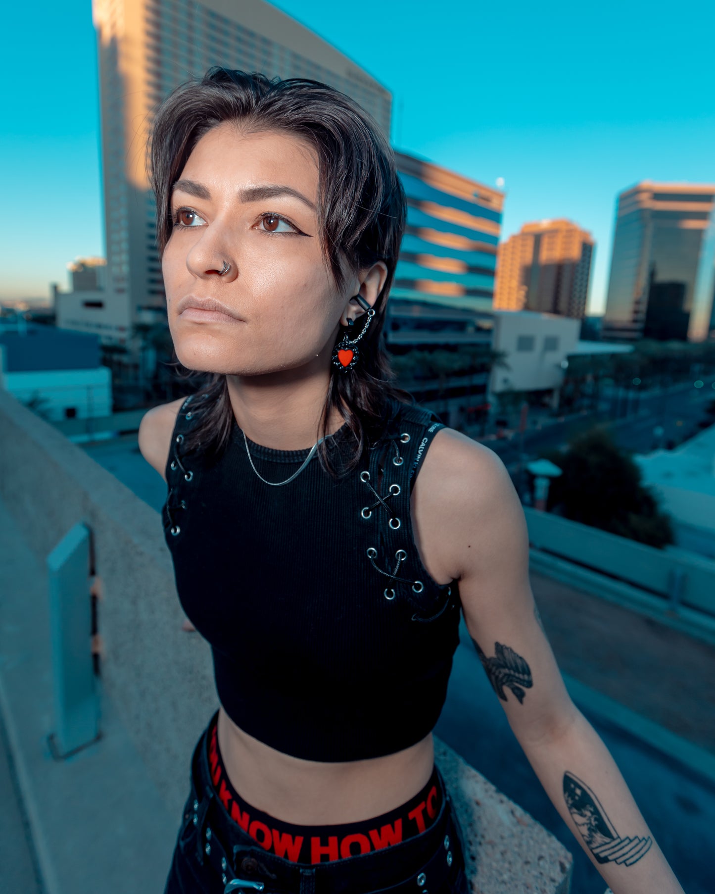 Black Heart Clicker Ear Plug Earrings